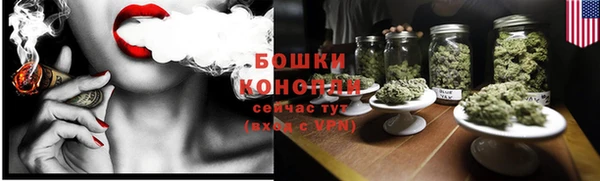 мдпв Елизово