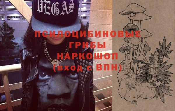 метамфетамин Ельня