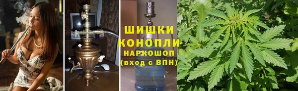 стафф Медвежьегорск