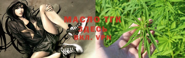 метамфетамин Ельня