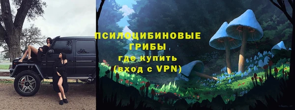твердый Елабуга