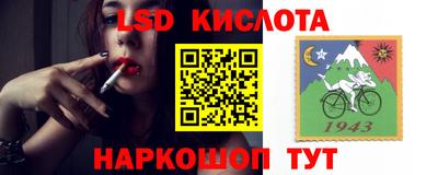 индика Гатчина