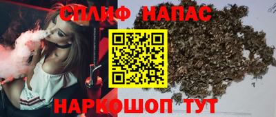 амф Гай