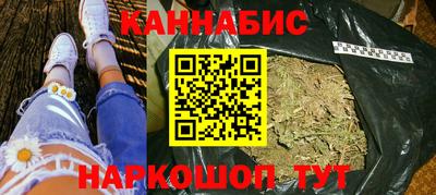 индика Гатчина