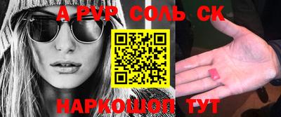 индика Гатчина
