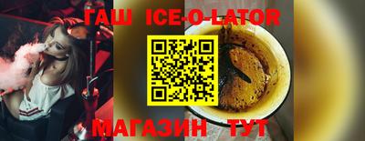 индика Гатчина