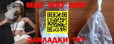 индика Гатчина