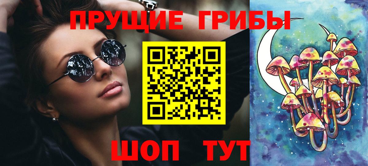 Звенигород  Псилоцибиновые грибы мицелий  купить наркоту  Вход с VPN 