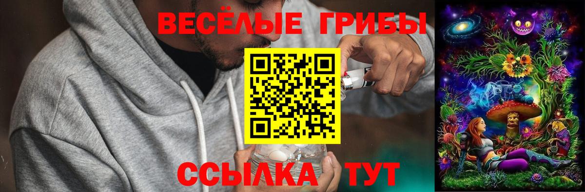 Галлюциногенные грибы Cubensis Звенигород